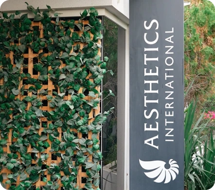 Aesthetics International