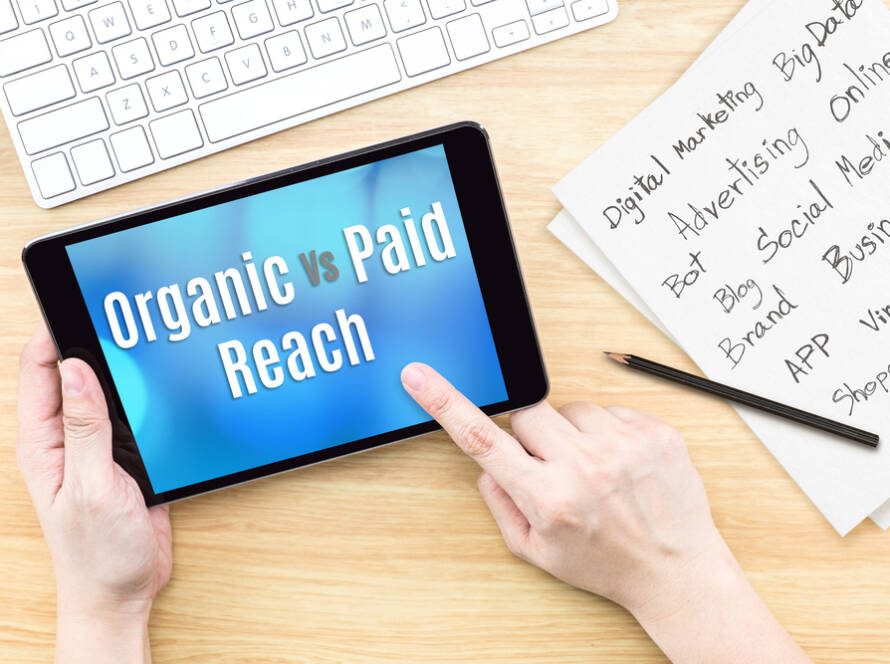 Organic vs Paid Marketing