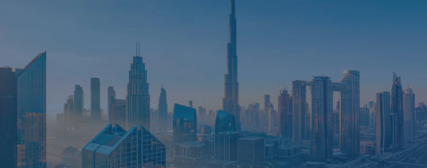 Davidson & Co Banner